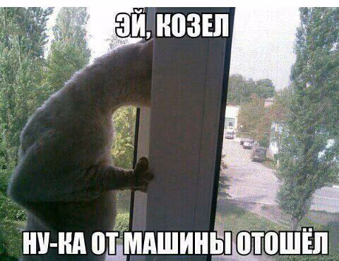 cf276517de4a0e30eb40c1d653cbfc8f.jpg