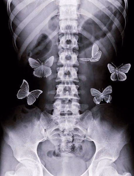 cf36bce6ce3c3d30b044453587bf6506.avif