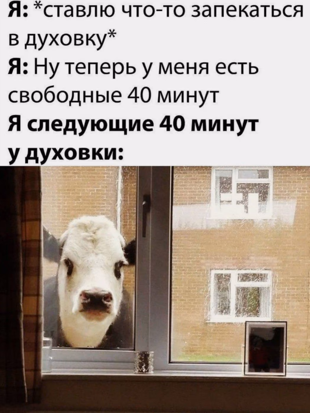 cf37972ca486761d99f530b868bfa070.avif