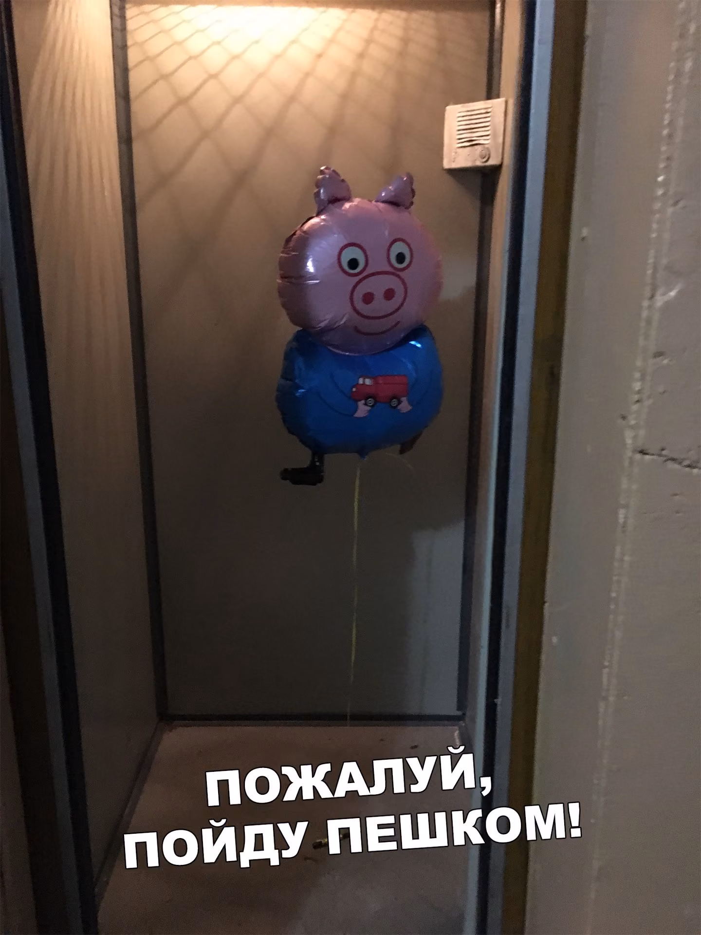 cf3d12d1085ba3fa335e953549588cf7.jpg