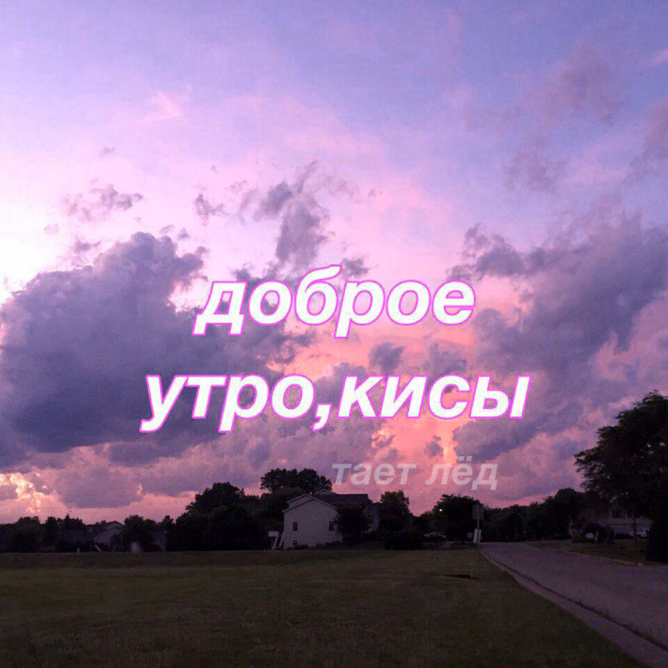 cf3ee8ede01fbe96677269519bc1813c.jpg