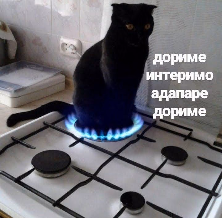 cf3efb144f711158edd5fcfcff07441e.jpg