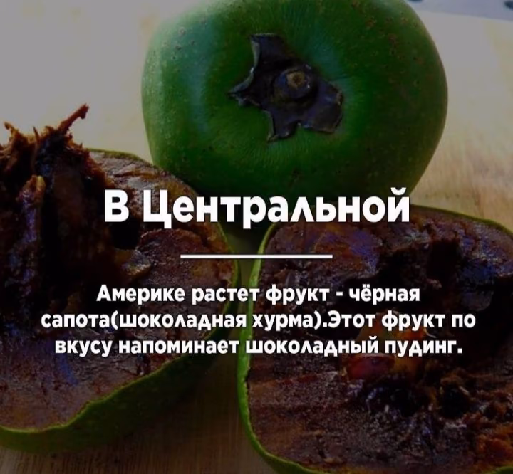 cf489a054e21832068f6b2ebe2fa3362.avif