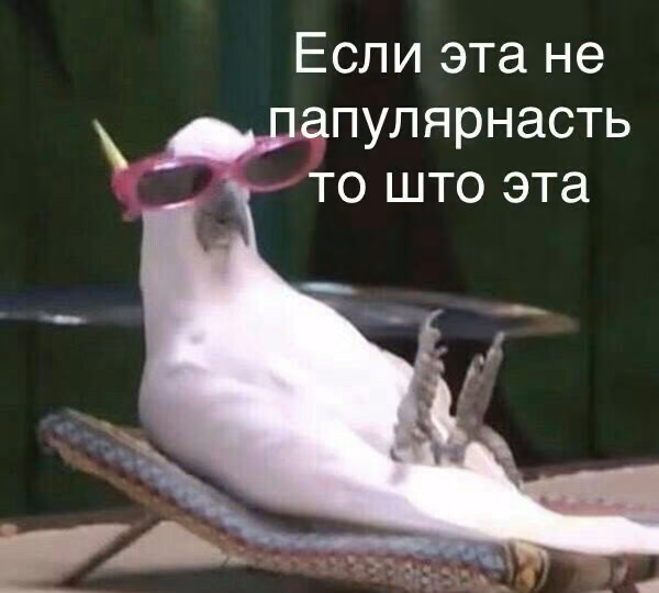 cf48d28cf26b89f6bae703d4ef676974.jpg