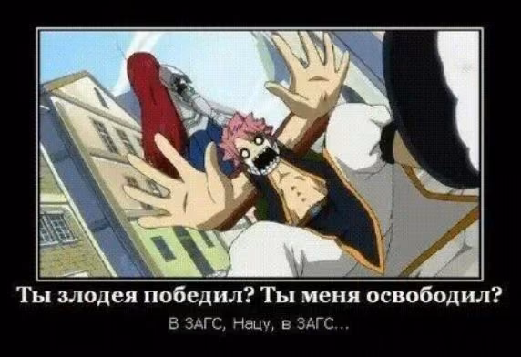 cf6569c837bfc140c36b6e967f5b8260.avif