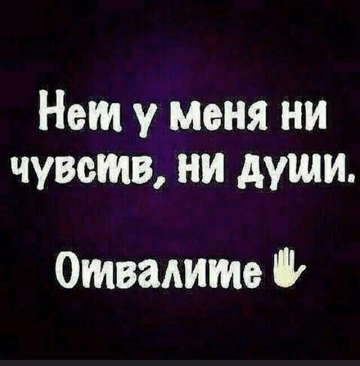 cf6d6727ef3be5b694f74f0482460517.avif