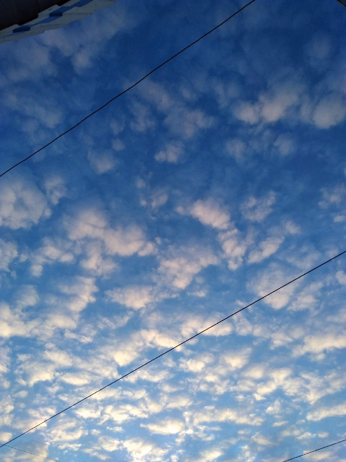 cf6e15f8d807ed5440ebac77d0247b8b.jpg