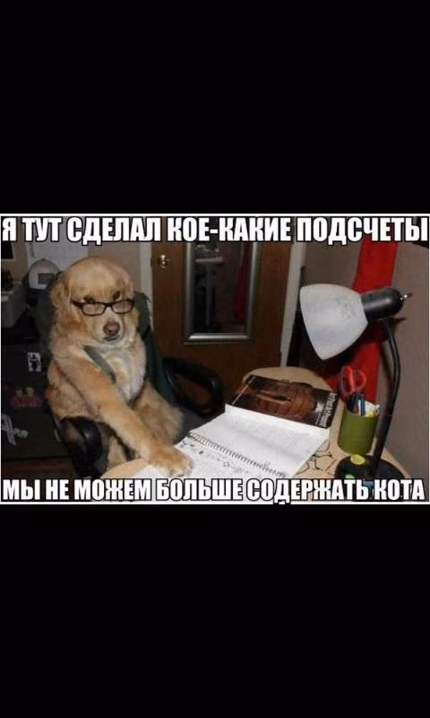cf75105d4161f50848ce1d8af7682528.avif