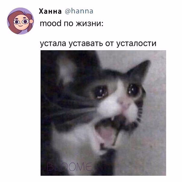 cf75d02bfc5a8d092b89700f82b544f3.jpg