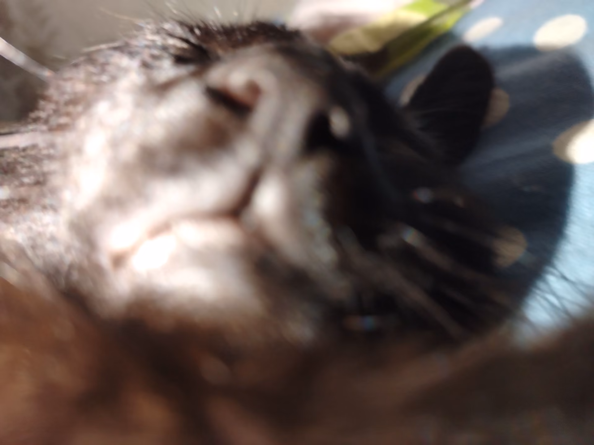 cf97ca28a9daf8a0607d41c45da9ec44.jpg