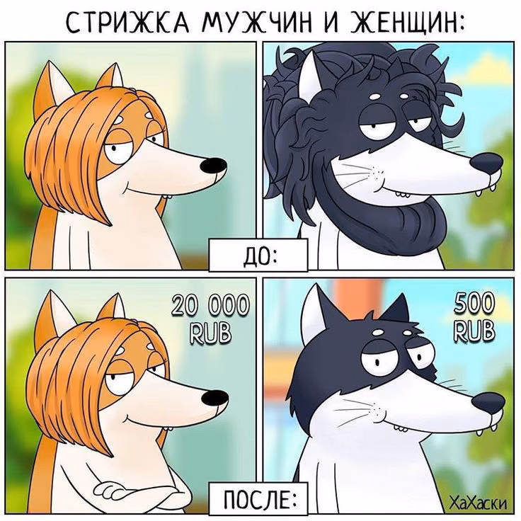 cf9ac49a77352a8eb8577c5a21ed3c3e.avif