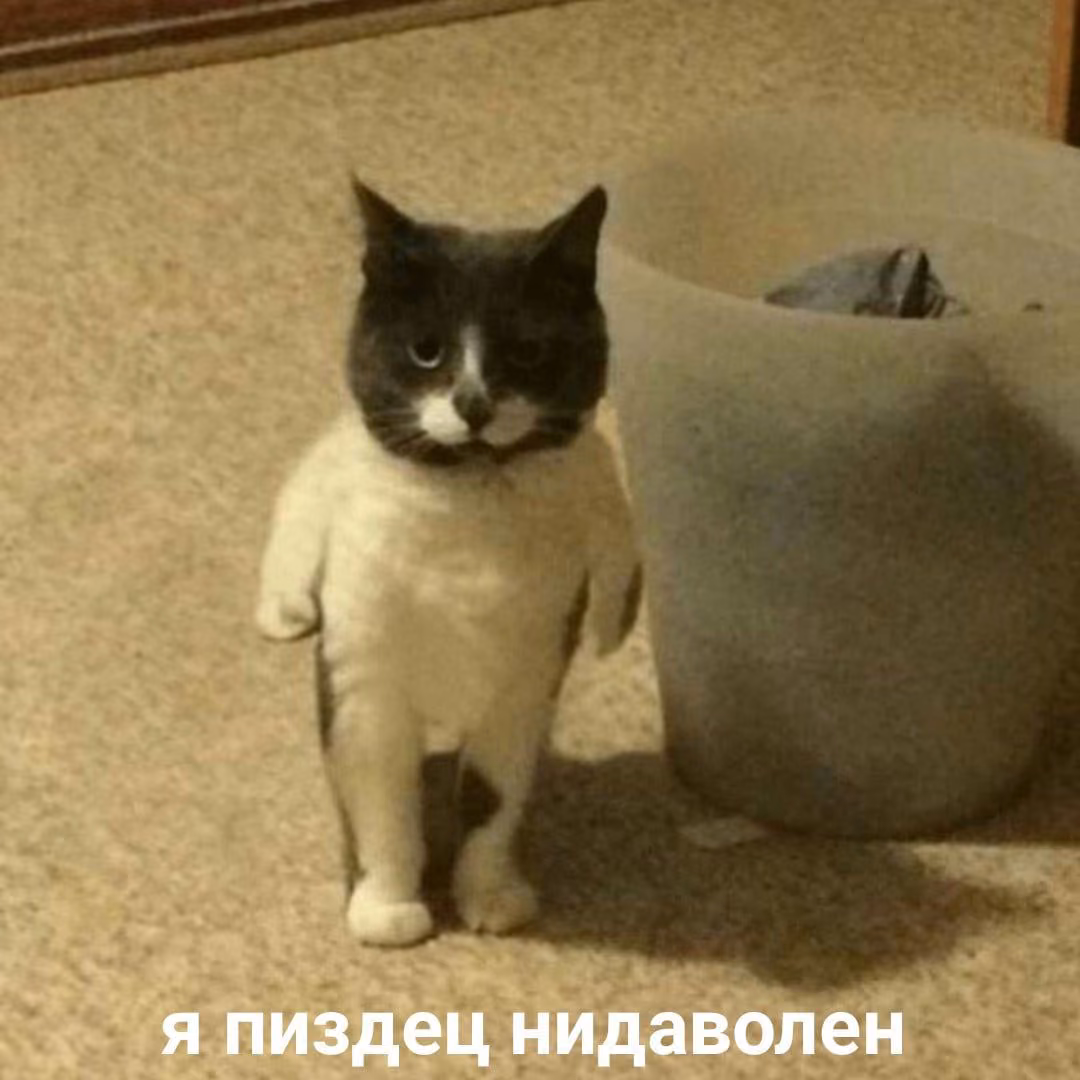 cfabd42219b925fb3d878d4def93d9d1.jpg