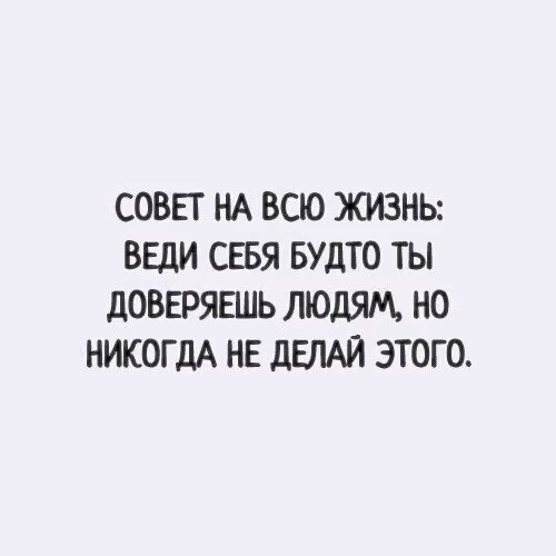 cfcb5b4021ea87b61fecb13870258457.avif