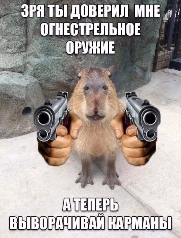 cfcd4752c0a55e75e3e91a7aa13d4bd3.jpg