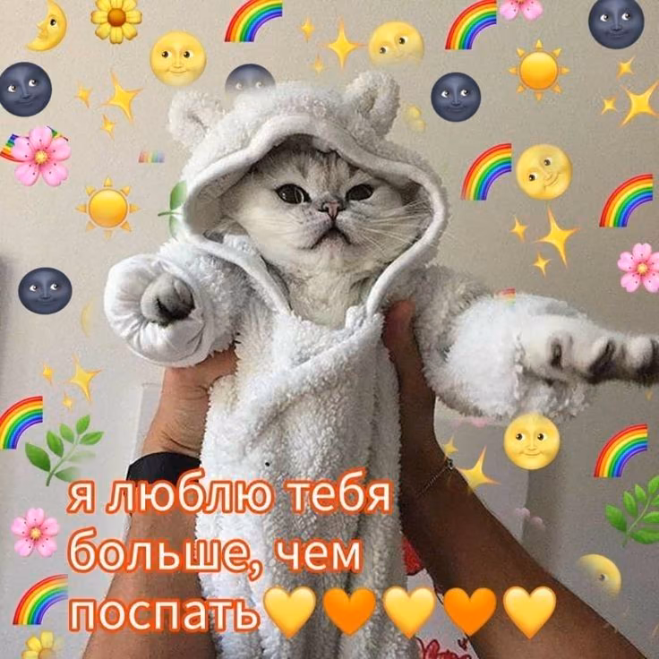 cfd6444c8fa7d9cc9a0124073999d779.avif