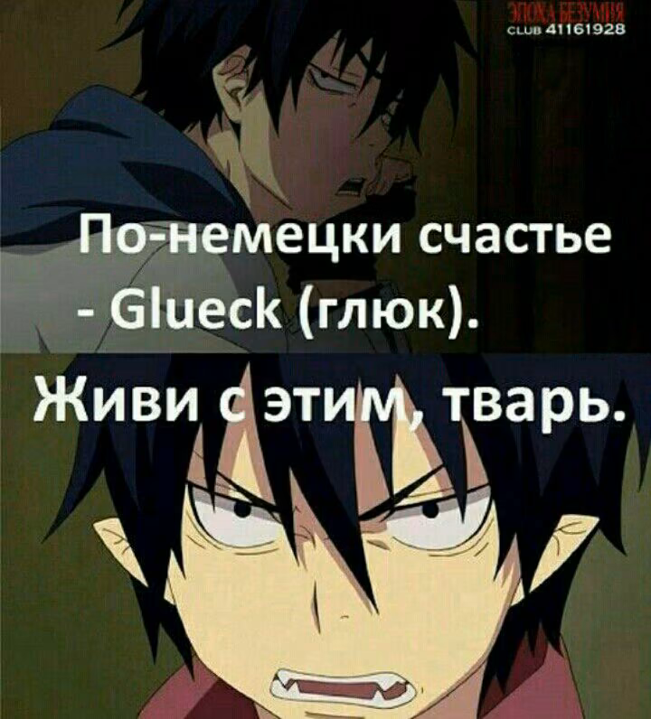 cfed5648d6a69518b0b2f1bf2642b407.avif