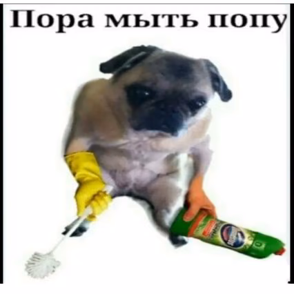 cfef5702e551d4ee81176cbfff3db3b3.jpg