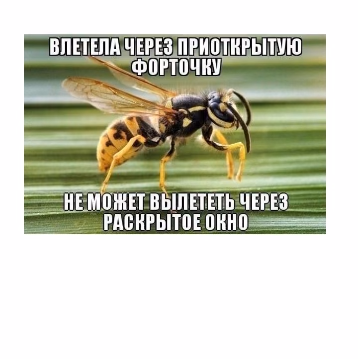 cff460fd5a686837c5927bd73d77e58f.jpg