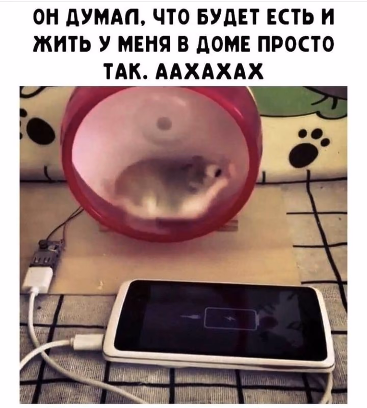 cffa6e666732e6cd9899c795c0d69125.avif