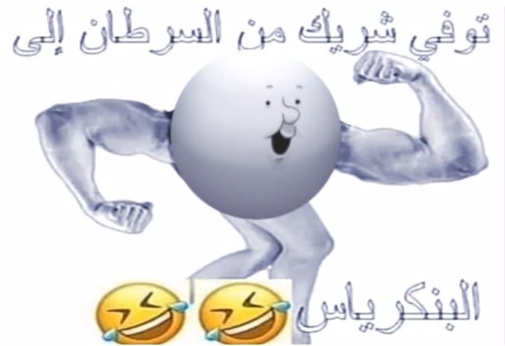 cffd4d5a362a41a903333bd94c0797be.avif
