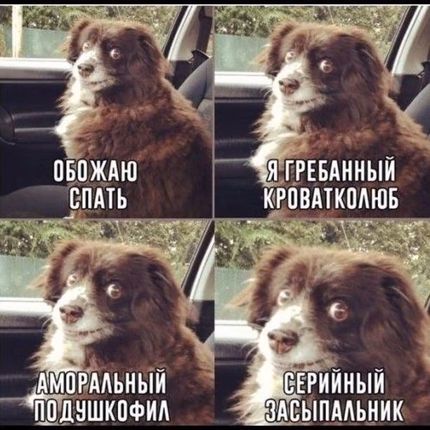 d0023dbf42fcb6eded773916fad37315.jpg