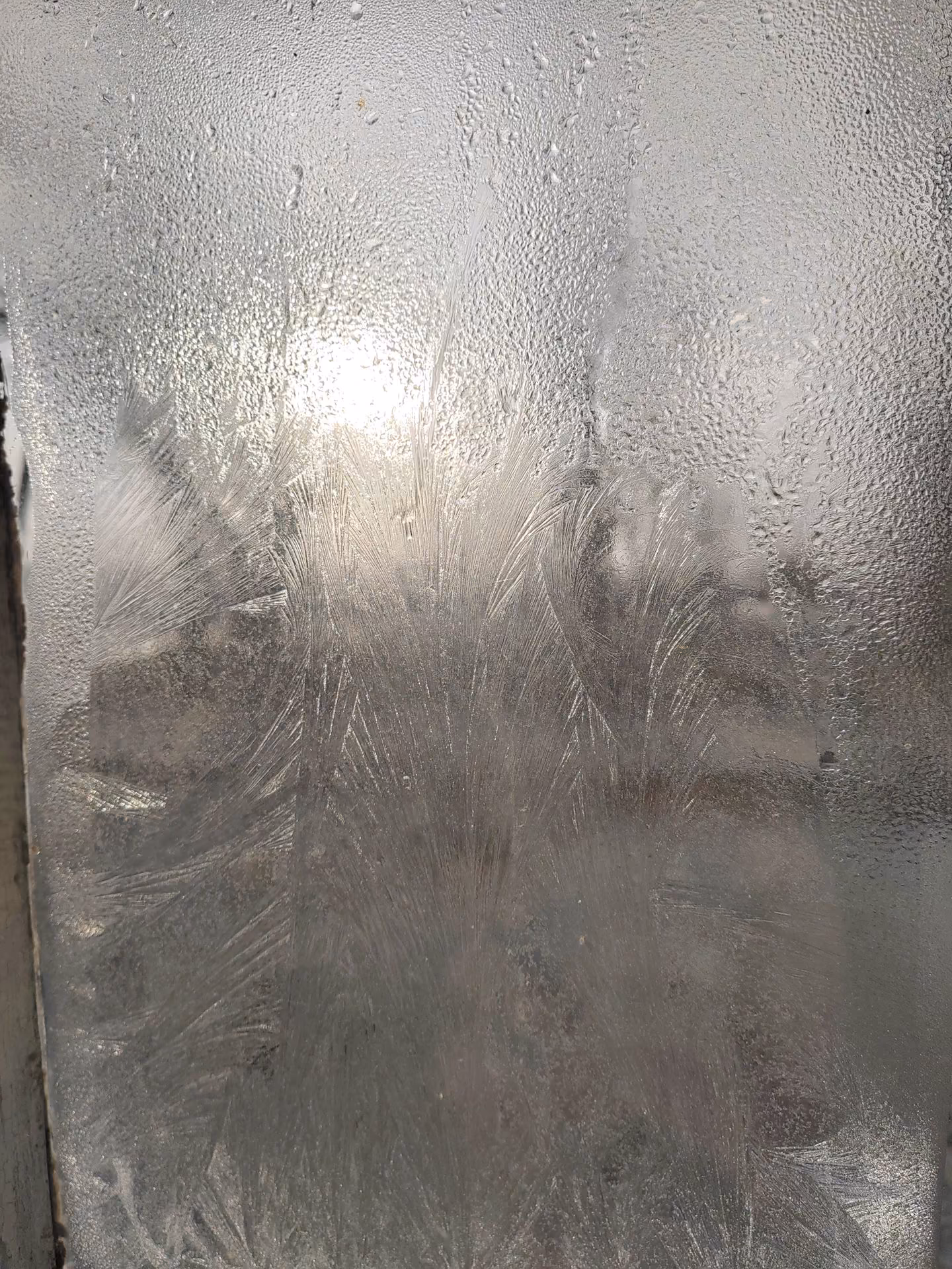 d00fa656232c1f36146999540786bfa5.jpg