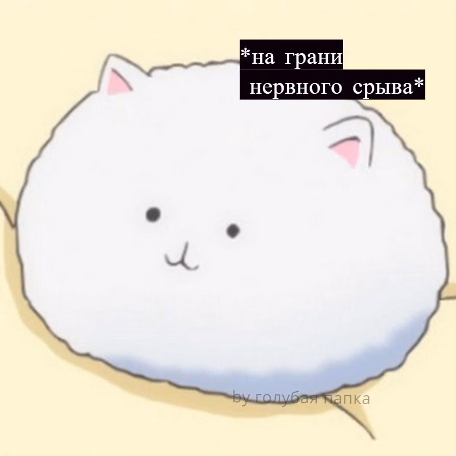 d036e558b8dc9909c989fab0dffa8763.avif