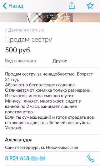 d04330fa473d1627beda96b5dcd715f2.avif