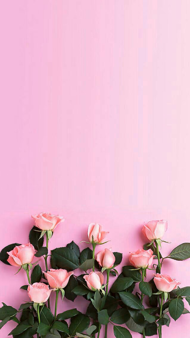 3aedee0d2c129fa46ae7b23eb049704a.jpg