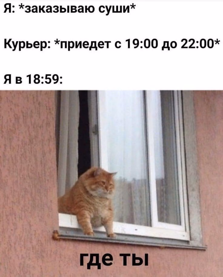 d04c5cec6b5501987a1125af973a9821.avif