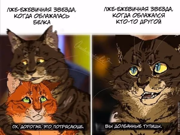 d051087fdba04f0a4e53d59404504fcb.avif
