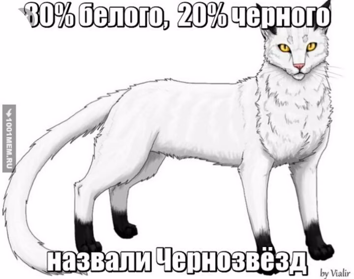 d066cc292624ca988a0abcb8bd8c2ac8.jpg