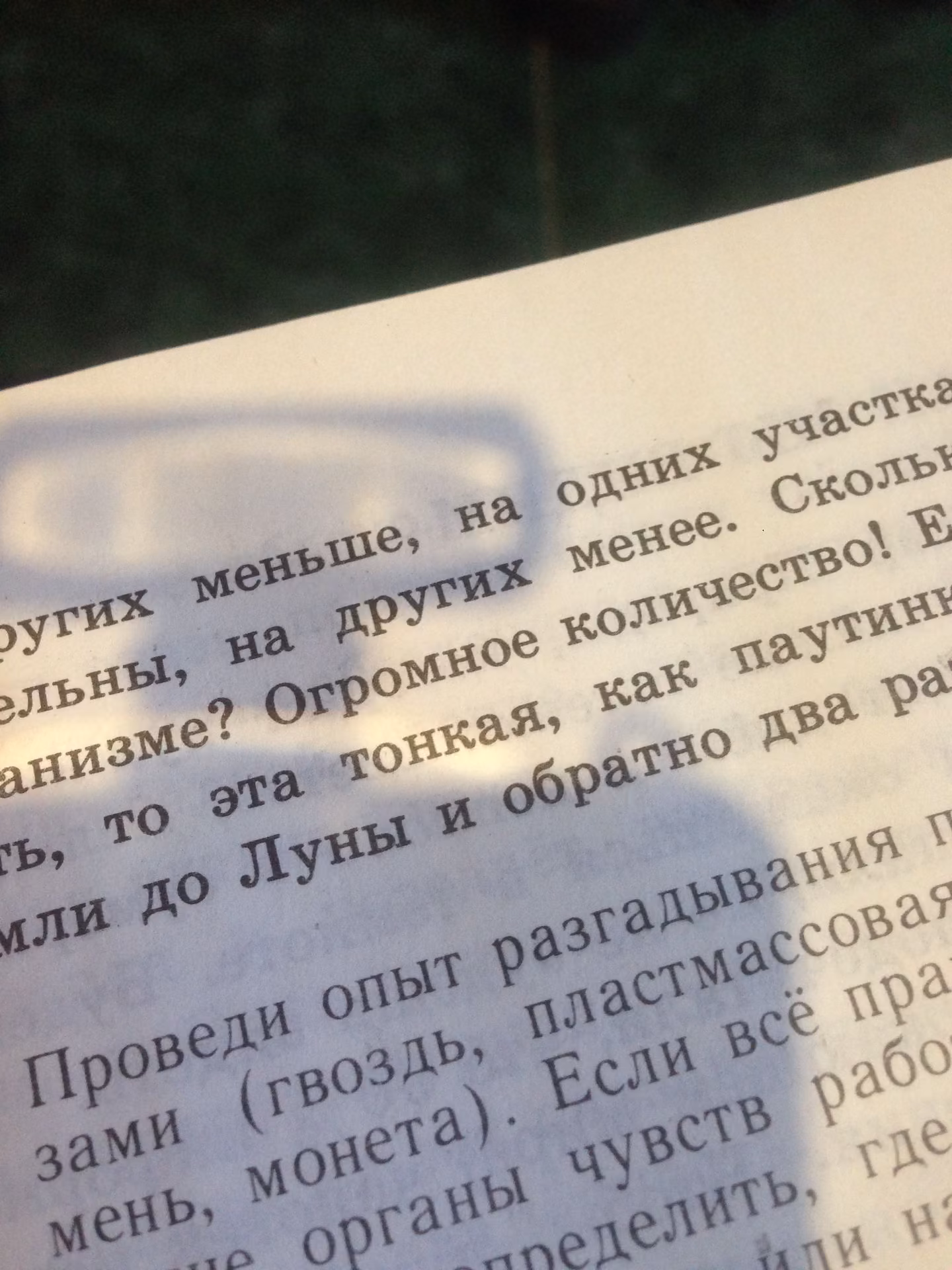 d067ef75d881a7971e0f40a3a8d1020b.avif