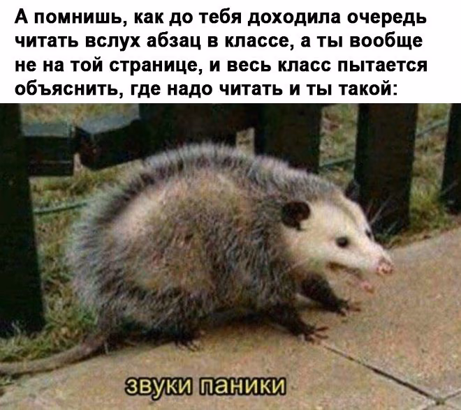 d07ce6f4ca8a98c772bcd606843b0248.jpg