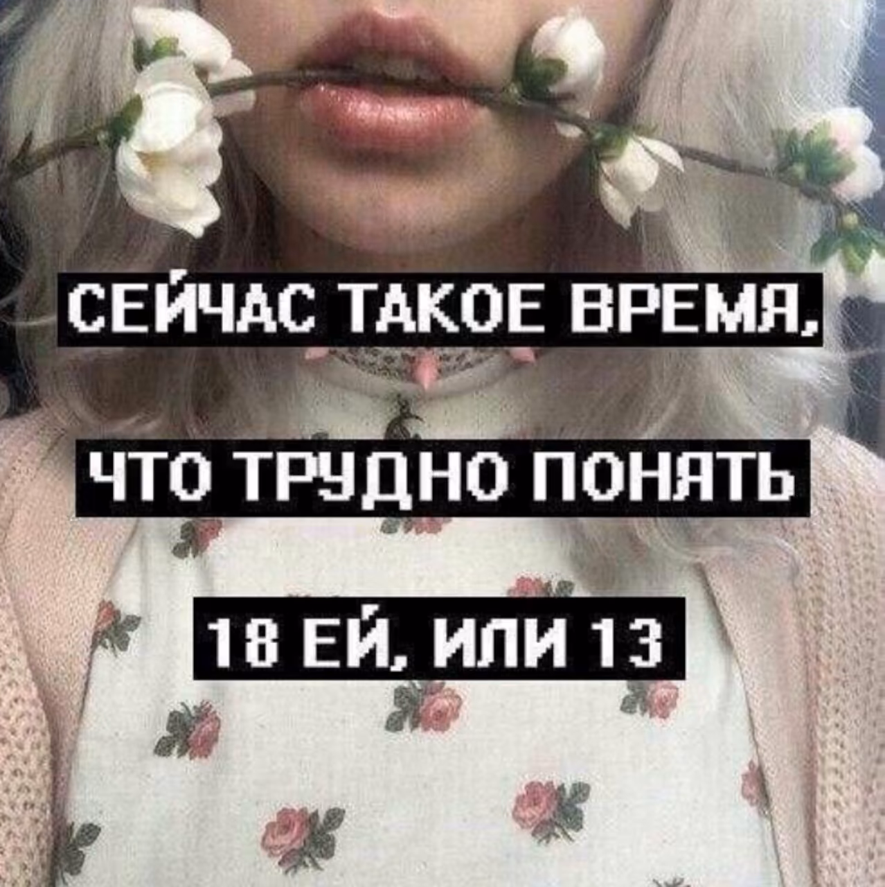 d07f2e8eb751a6ddd59fb968a507392f.jpg