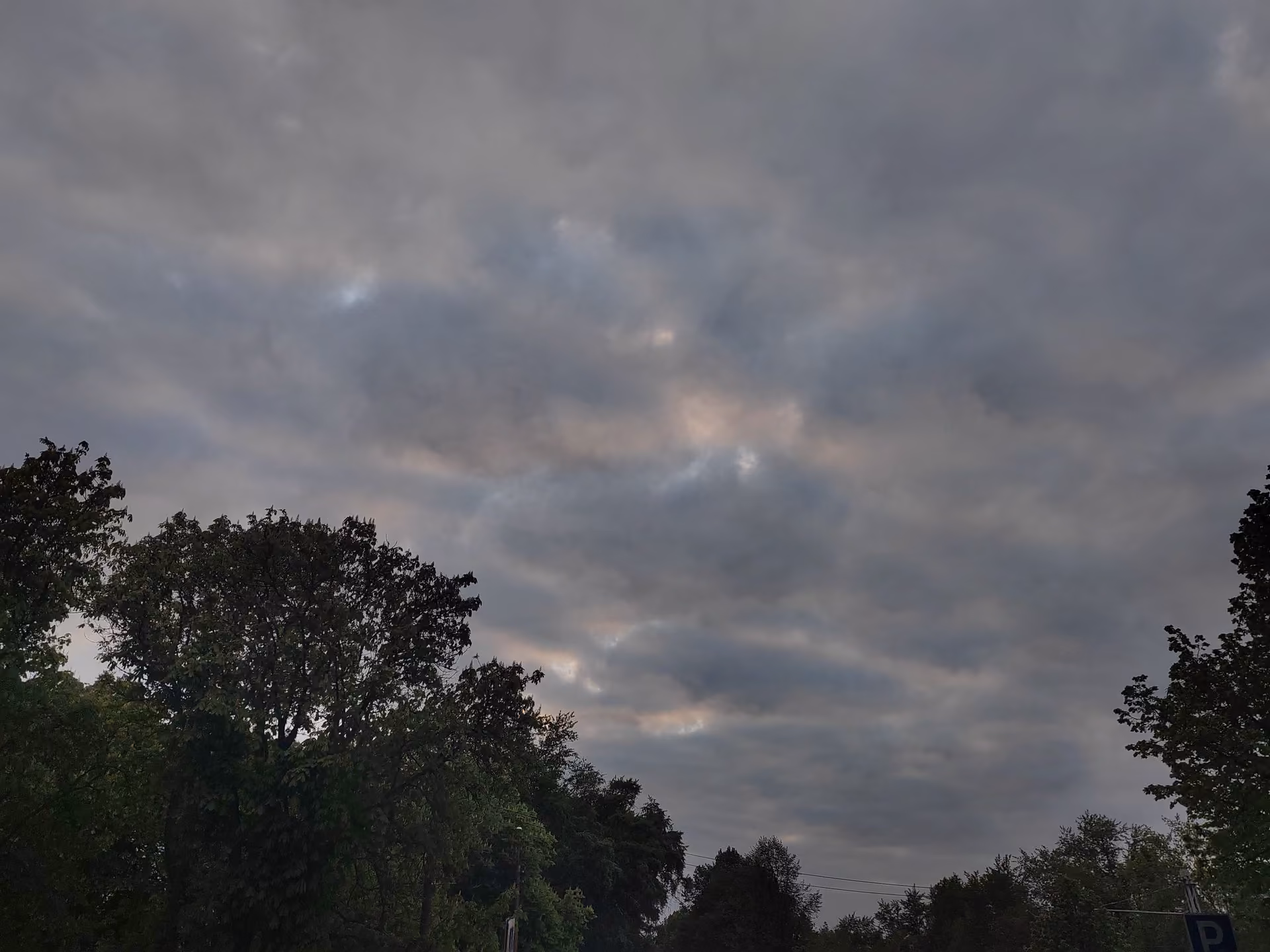d0989a04662fd7a1dfcf8b6a356ad564.jpg