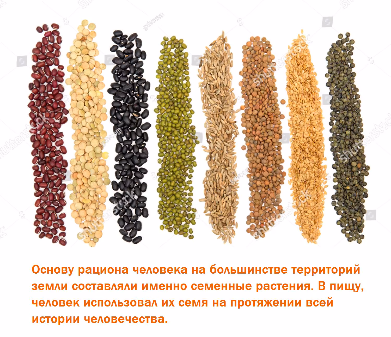 d0a1220527f80f4c5beaf5cc2ed02e3f.avif