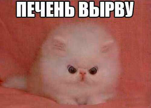 d0a23776182362e7caaf8b7eceef5d76.jpg