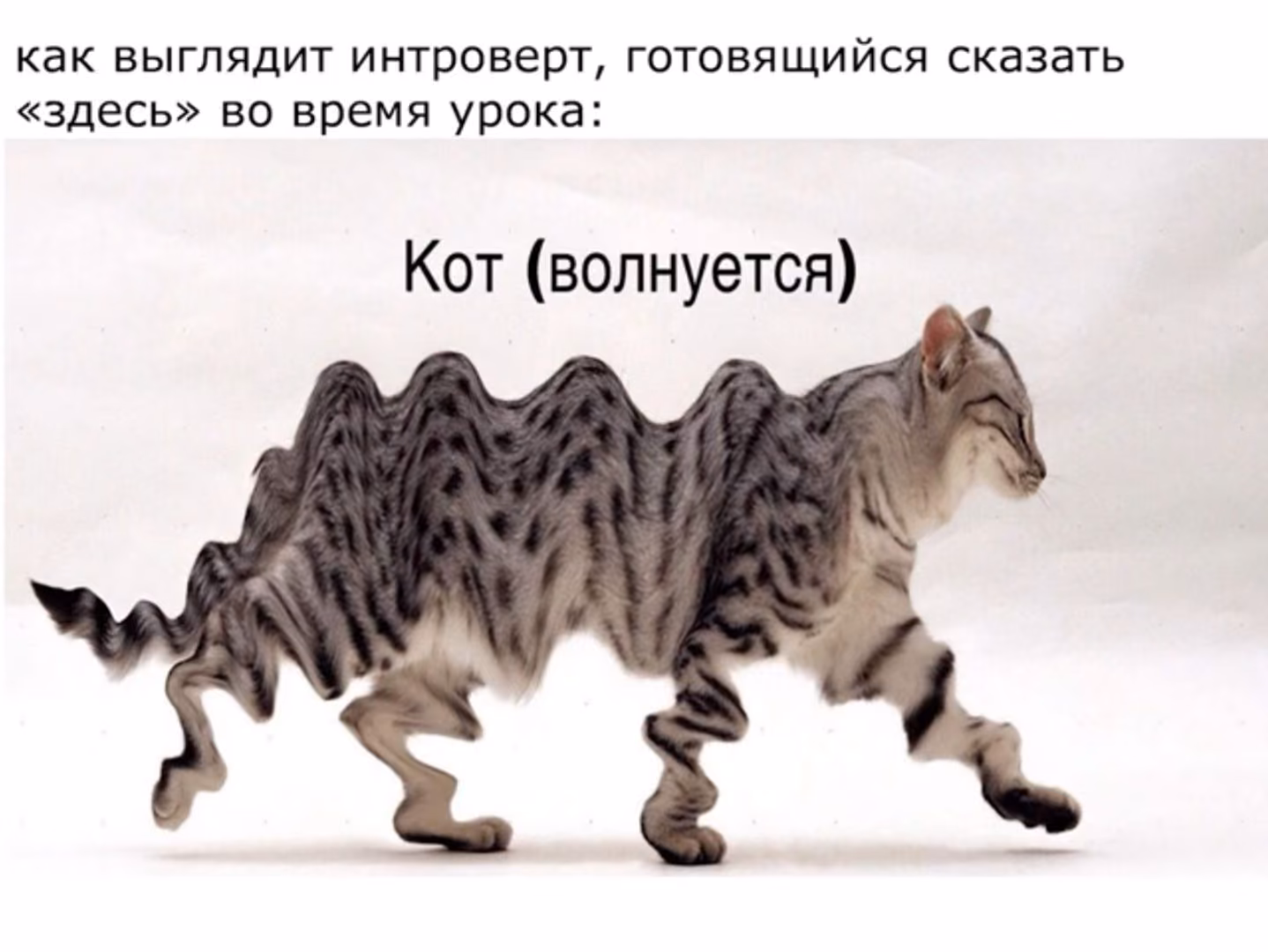 d0a80175bbe345e864d5f859c658a32a.jpg