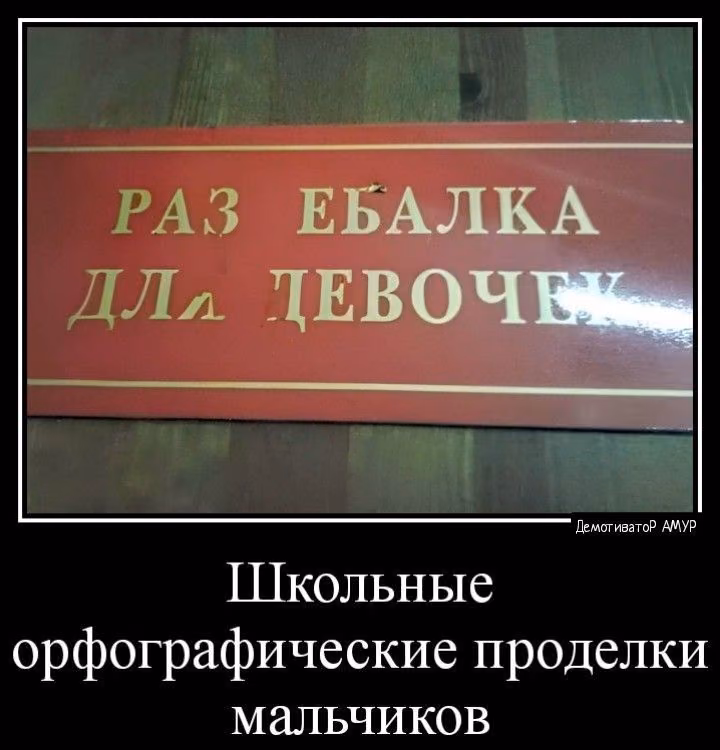 d0bf725145bed76a280a0121de2d7146.jpg
