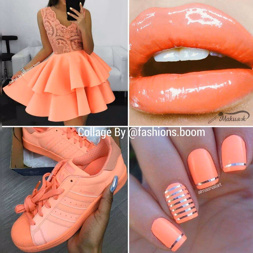 d0c4cf2c451290670a38acc290509179.avif