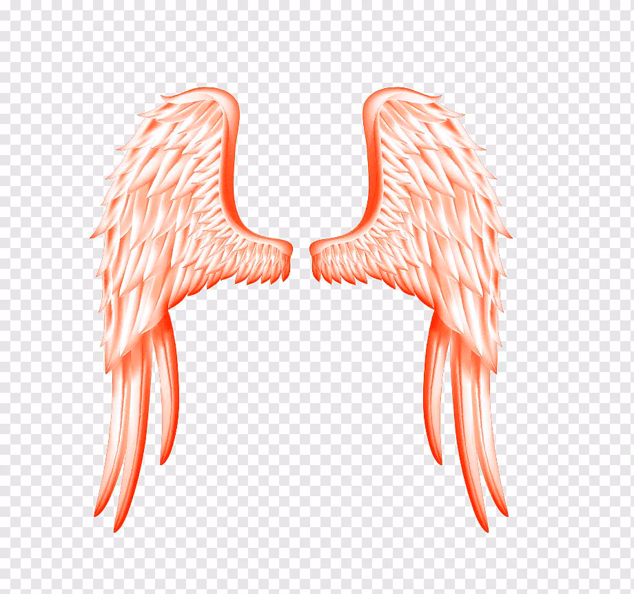 d0ced4fef2722b0b6fcca9324f3fff40.avif