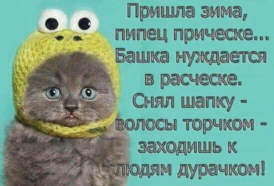 d0d082772c266177e30b0470f9c97841.jpg