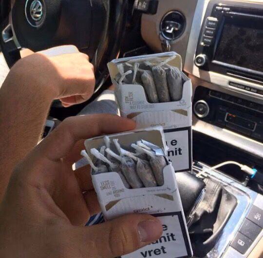 d0d293fd40c331bf4cc796331e96feb5.avif