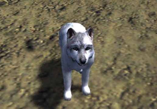 d0d4cdc24018c3dfffcaf366c7943ba4.jpg