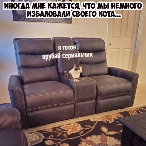 d0e02e1f5e81c1f95709d4b74cc67b30.avif