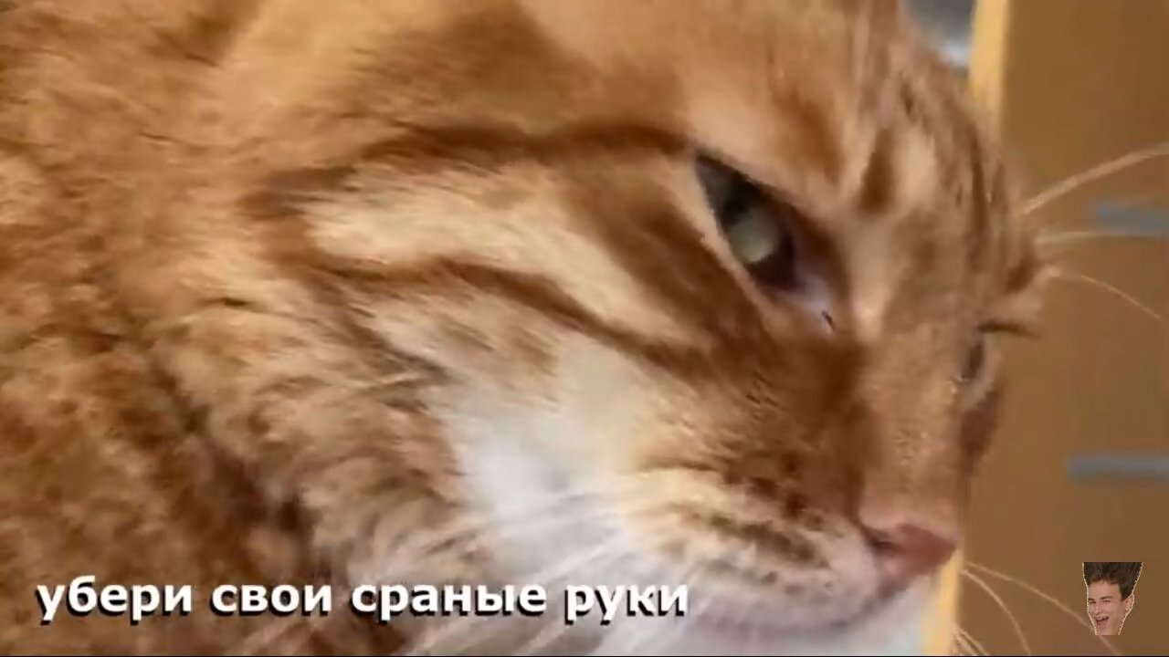 d0e47e2eb3536a2bd61653551bb46c4f.jpg