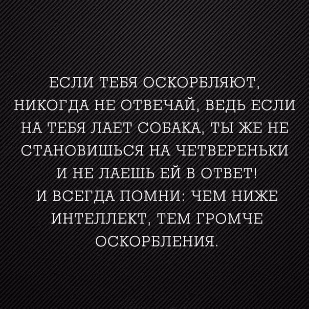 d0e66983c1ccecf3220b98b05e8c6e93.jpg