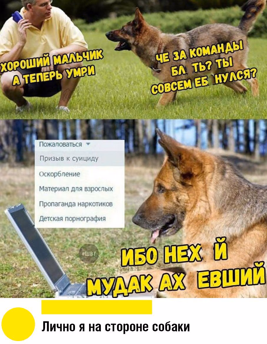 d0f468400c2ff3c289621068ab9bcf52.avif