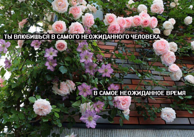 d0f86cfcc80769326eb94342042f4f88.avif
